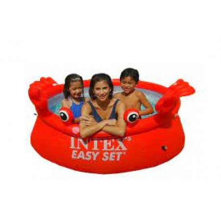 Intex pool 26100
